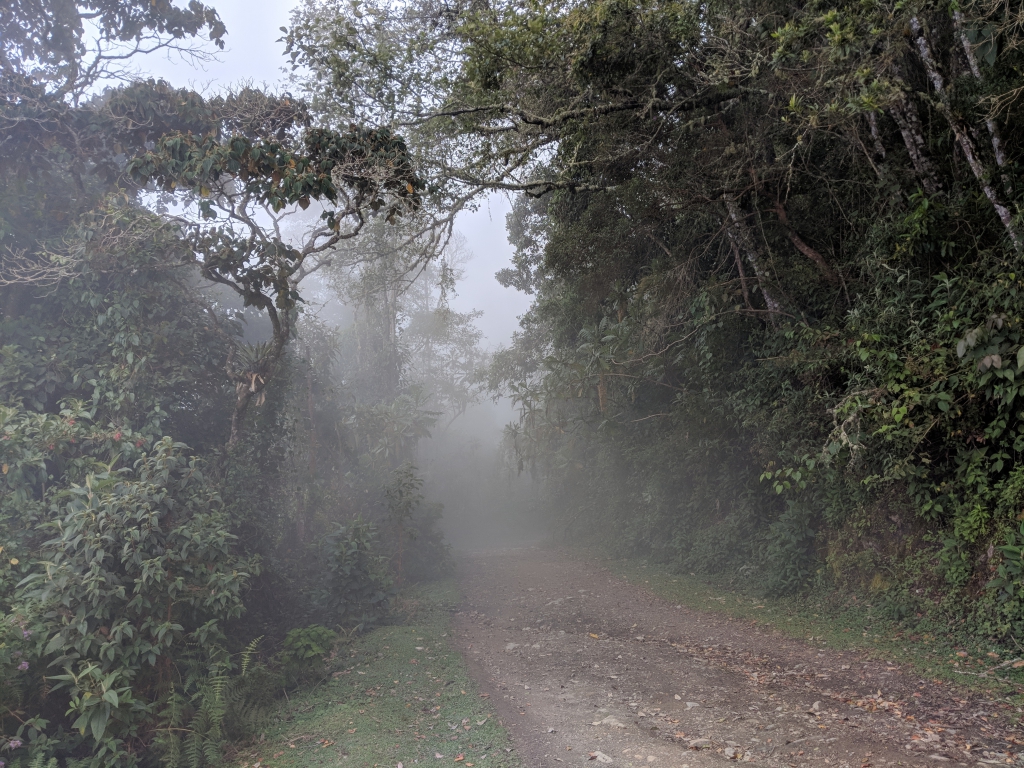 Cocora Valley