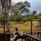 View from bedroom