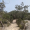 Ku-ring-gai Chase National Park