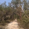Ku-ring-gai Chase National Park