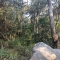 Ku-ring-gai Chase National Park